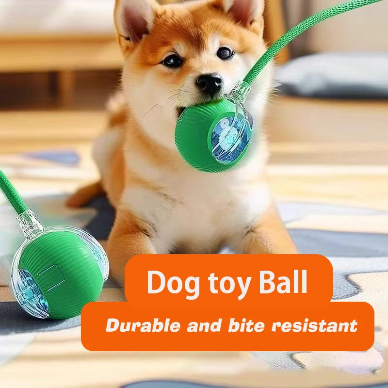Dog Interactive Ball Toy Rechargeable Intelligent Balls