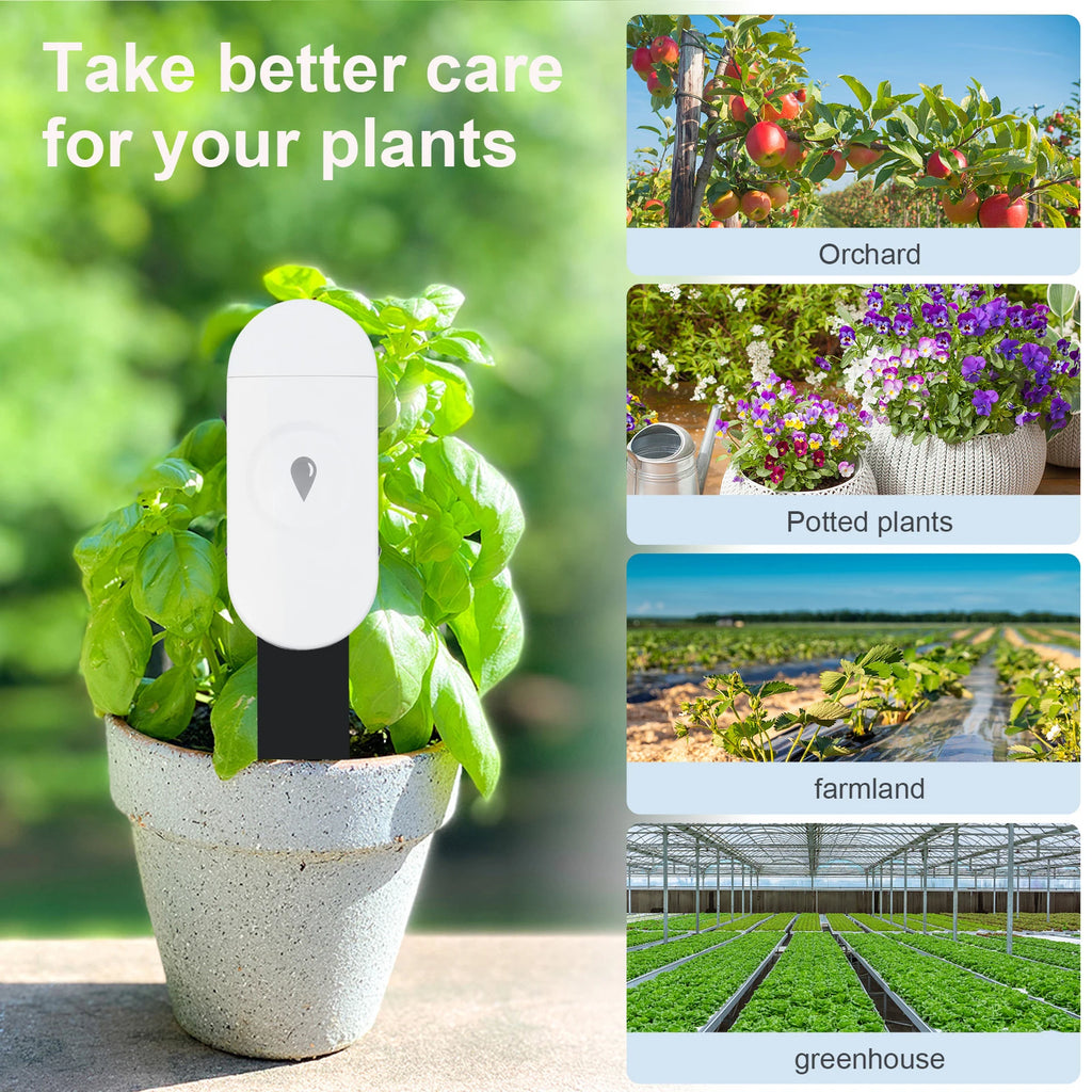 Temperature Humidity Moisture Detector Smart Soil Tester Moisture Phone App RealTime Monitor for Home Garden