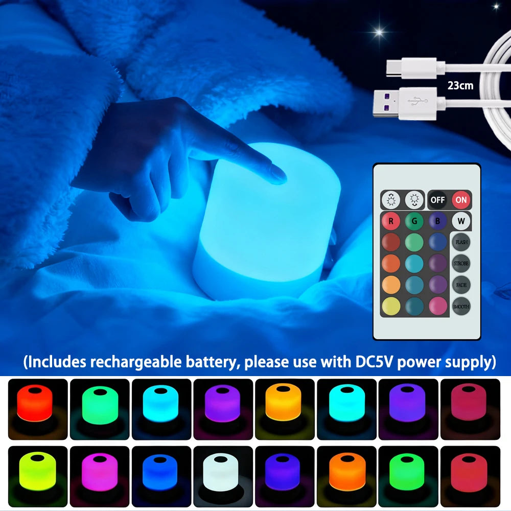 LED Light Dimmable Plug-in Desktop Bedside Touchscreen Desk Lamp