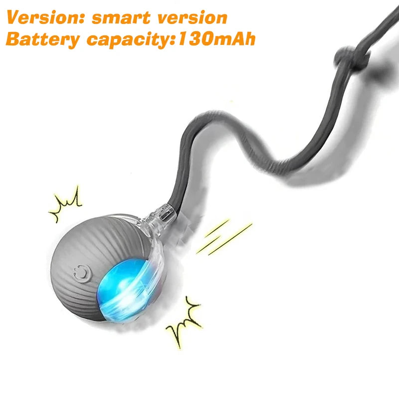 Dog Interactive Ball Toy Rechargeable Intelligent Balls