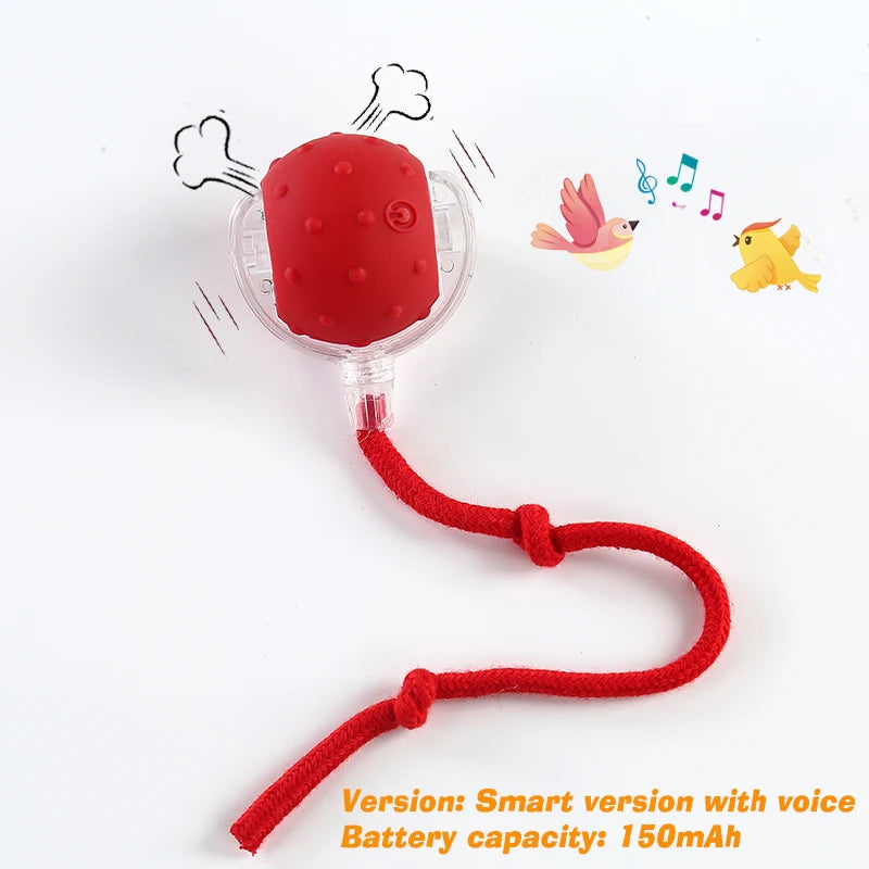 Dog Interactive Ball Toy Rechargeable Intelligent Balls