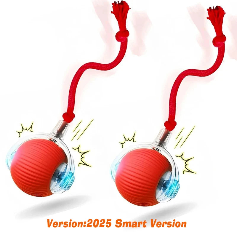 Dog Interactive Ball Toy Rechargeable Intelligent Balls